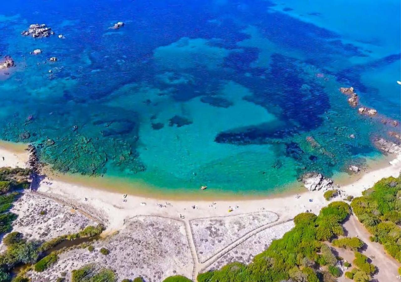 Chalet V Tout Confort Proche Des Plages Pianottoli-Caldarello (Corsica) Exteriör bild