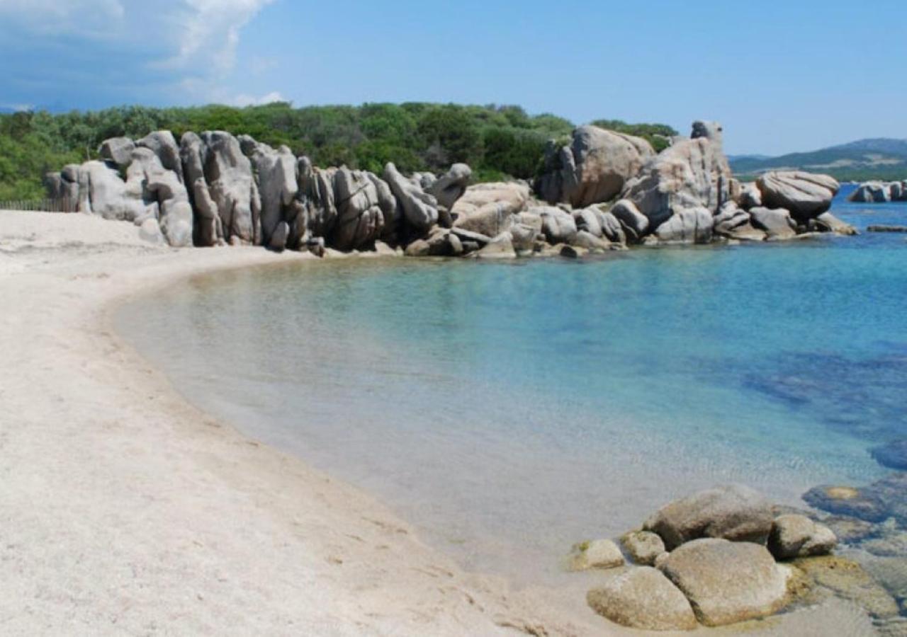 Chalet V Tout Confort Proche Des Plages Pianottoli-Caldarello (Corsica) Exteriör bild